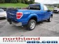 2011 Blue Flame Metallic Ford F150 XLT Regular Cab 4x4  photo #8