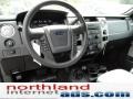 2011 Blue Flame Metallic Ford F150 XLT Regular Cab 4x4  photo #11