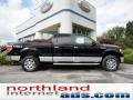 Ebony Black - F150 XLT SuperCrew 4x4 Photo No. 1