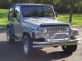 2000 Silverstone Metallic Jeep Wrangler Sport 4x4  photo #8