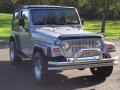 2000 Silverstone Metallic Jeep Wrangler Sport 4x4  photo #8