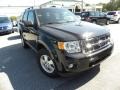 2011 Tuxedo Black Metallic Ford Escape XLT V6  photo #1