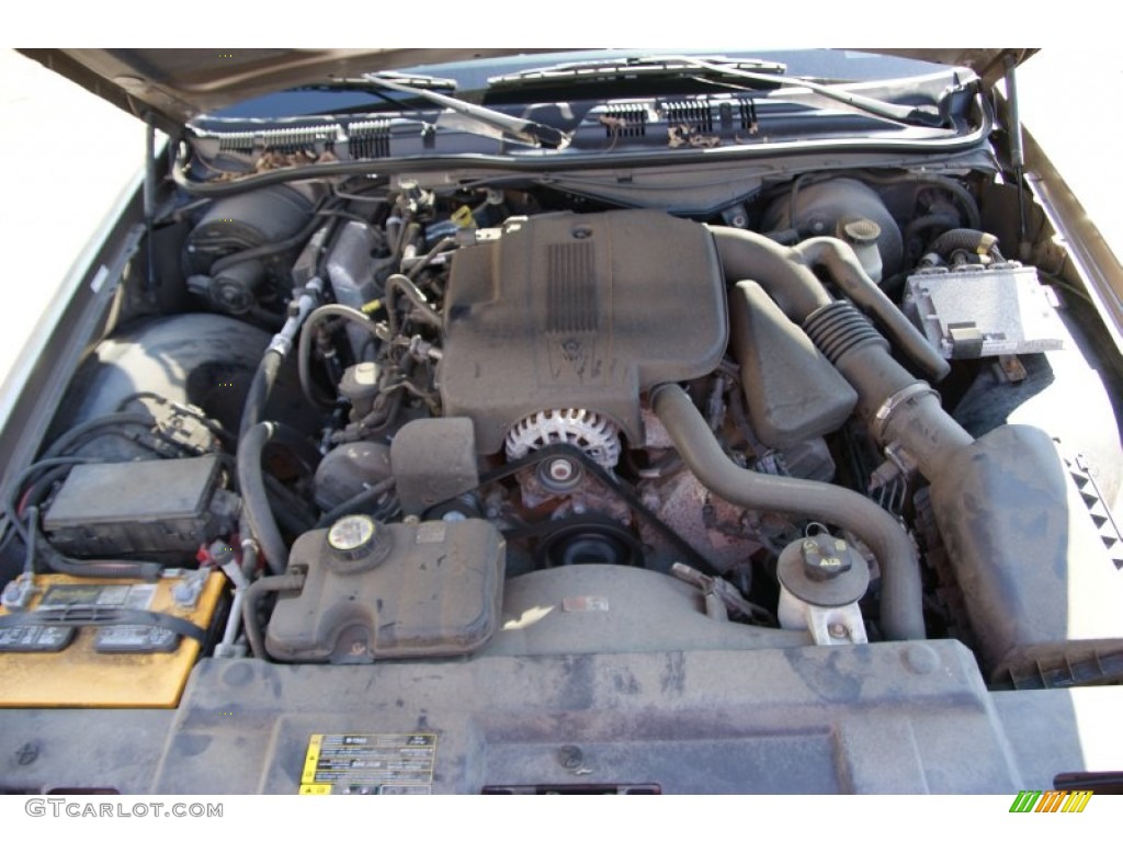 2005 Ford Crown Victoria LX 4.6 Liter SOHC 16-Valve V8 Engine Photo #54948319