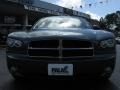 Magnesium Pearlcoat - Charger R/T Photo No. 2