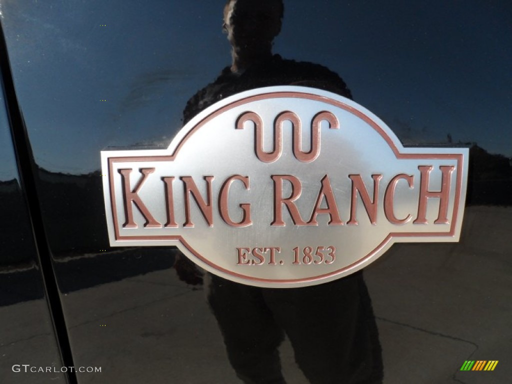 2009 Ford Expedition King Ranch Marks and Logos Photo #54951048