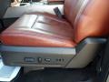Charcoal Black/Chaparral Leather 2009 Ford Expedition King Ranch Interior Color