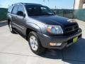 2004 Galactic Gray Mica Toyota 4Runner SR5  photo #1