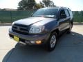 2004 Galactic Gray Mica Toyota 4Runner SR5  photo #7