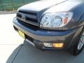 2004 Galactic Gray Mica Toyota 4Runner SR5  photo #10