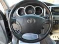 2004 Galactic Gray Mica Toyota 4Runner SR5  photo #41