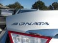 Radiant Silver - Sonata GLS Photo No. 15