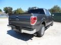 2011 Sterling Grey Metallic Ford F150 Texas Edition SuperCrew  photo #3