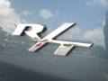 Magnesium Pearlcoat - Charger R/T Photo No. 21