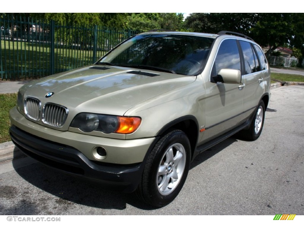 2001 X5 4.4i - Pearl Beige Metallic / Beige photo #1