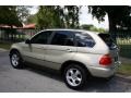 2001 Pearl Beige Metallic BMW X5 4.4i  photo #6