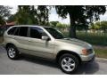 2001 Pearl Beige Metallic BMW X5 4.4i  photo #14