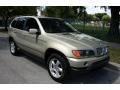 2001 Pearl Beige Metallic BMW X5 4.4i  photo #16