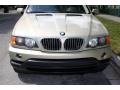 2001 Pearl Beige Metallic BMW X5 4.4i  photo #17