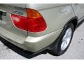 2001 Pearl Beige Metallic BMW X5 4.4i  photo #22