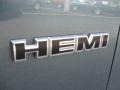 Magnesium Pearlcoat - Charger R/T Photo No. 22