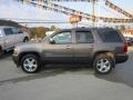 Taupe Gray Metallic - Tahoe LS 4x4 Photo No. 2