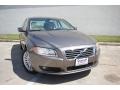 Oyster Gray Metallic - S80 3.2 Photo No. 13