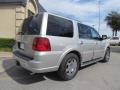 2006 Pewter Metallic Lincoln Navigator Ultimate 4x4  photo #3