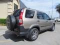 2006 Sahara Sand Metallic Honda CR-V EX 4WD  photo #3