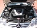 Arctic White - CLK 350 Coupe Photo No. 11