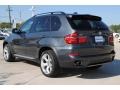 Platinum Gray Metallic - X5 xDrive35i Sport Activity Photo No. 7