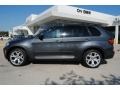 Platinum Gray Metallic - X5 xDrive35i Sport Activity Photo No. 8