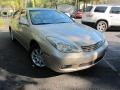 Mystic Gold Metallic - ES 300 Photo No. 1