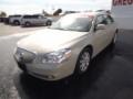 2010 Sand Beige Metallic Buick Lucerne CXL  photo #3