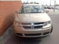 2009 Light Sandstone Metallic Dodge Journey SXT  photo #10