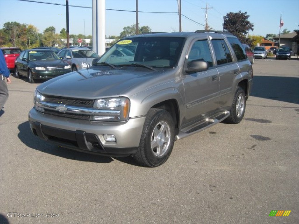 2002 Light Pewter Metallic Chevrolet TrailBlazer LS 4x4 54963868 Photo