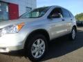 Alabaster Silver Metallic - CR-V SE 4WD Photo No. 2