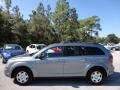 2010 Silver Steel Metallic Dodge Journey SE  photo #2