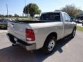 2009 Light Graystone Pearl Dodge Ram 1500 ST Regular Cab  photo #7