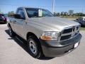 2009 Light Graystone Pearl Dodge Ram 1500 ST Regular Cab  photo #9