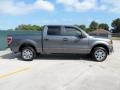 2010 Sterling Grey Metallic Ford F150 XLT SuperCrew  photo #2