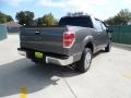 2010 Sterling Grey Metallic Ford F150 XLT SuperCrew  photo #3