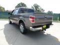 2010 Sterling Grey Metallic Ford F150 XLT SuperCrew  photo #5