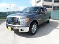 2010 Sterling Grey Metallic Ford F150 XLT SuperCrew  photo #7