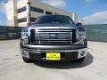 2010 Sterling Grey Metallic Ford F150 XLT SuperCrew  photo #9