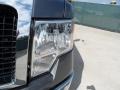 2010 Sterling Grey Metallic Ford F150 XLT SuperCrew  photo #10