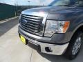 2010 Sterling Grey Metallic Ford F150 XLT SuperCrew  photo #11