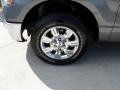 2010 Sterling Grey Metallic Ford F150 XLT SuperCrew  photo #12