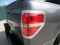 2010 Sterling Grey Metallic Ford F150 XLT SuperCrew  photo #19