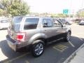 2009 Sterling Grey Metallic Ford Escape XLT V6 4WD  photo #8