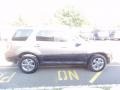 2009 Sterling Grey Metallic Ford Escape XLT V6 4WD  photo #9